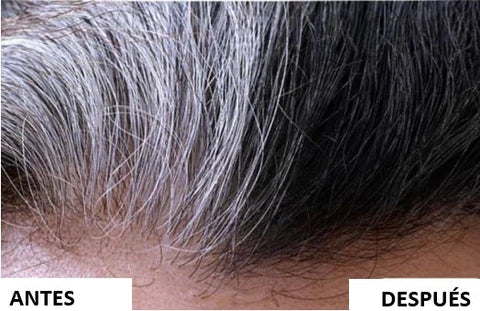 SHAMPO PINTA CANAS