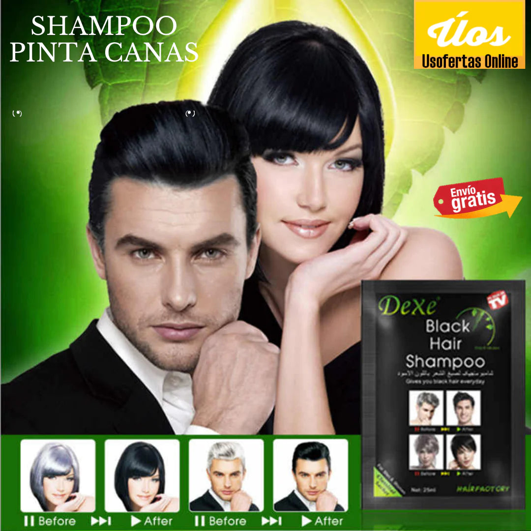 SHAMPO PINTA CANAS