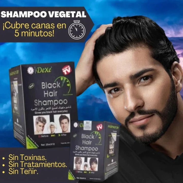 SHAMPO PINTA CANAS
