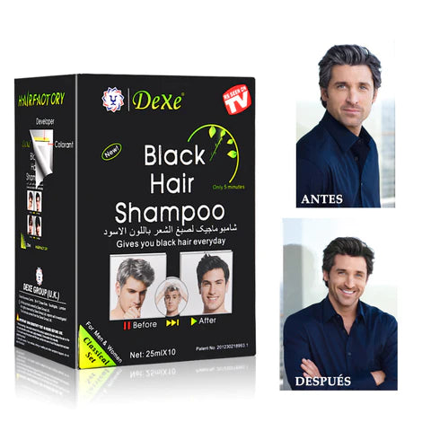 SHAMPO PINTA CANAS